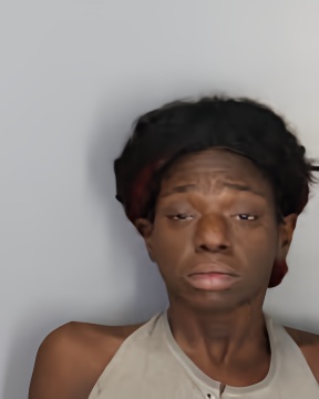 Mugshot of NACIREMA N DAVIS