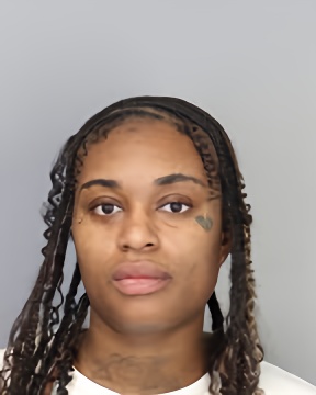 Mugshot of ALEXSIS VASSER