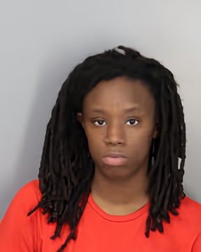 Mugshot of JSANDRA GIBSON