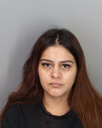 Mugshot of DAYANA LOPEZ ALVARADO