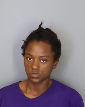 Mugshot of CHRISTY RICHARDSON