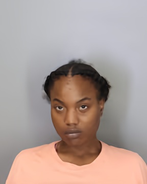 Mugshot of RENAIYA DEMETRIA LEWIS