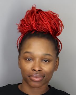 Mugshot of TERRICA MARIA LEWIS