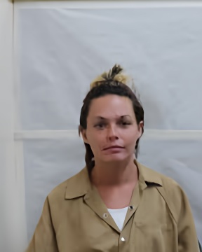 Mugshot of SHANA NICOLE PITTS
