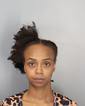 Mugshot of DOMINIQUE ANDERSON