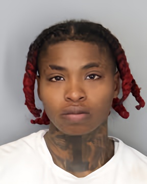 Mugshot of AYANA ANTOINETTE COLLINS