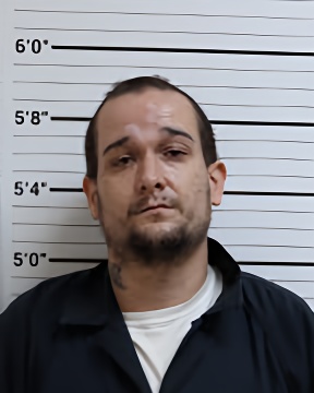 Mugshot of GREGORY S STINSON