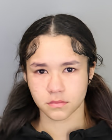 Mugshot of KOLBIE NOVAY