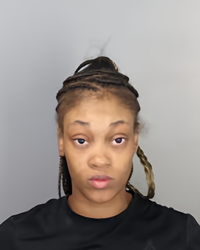 Mugshot of CHRYSLYN HALL