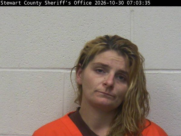 Mugshot of BREANNA L HERRERA
