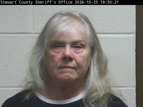 Mugshot of DIANE L SOLI
