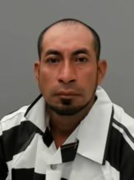 Mugshot of JAMIE FRANCISCO AMAYA RODRIGUEZ