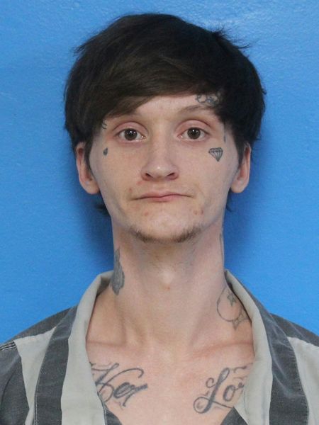 Mugshot of JORDAN LEE FERRELL
