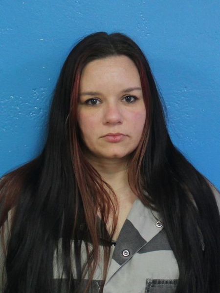 Mugshot of MEGAN NICOLE NECESSARY