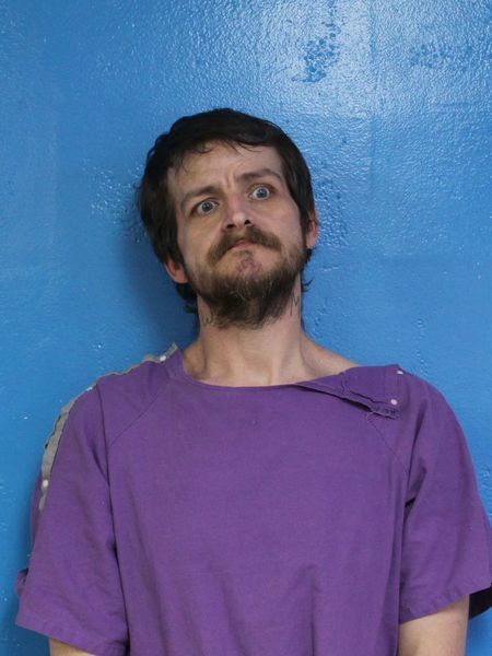 Mugshot of DONALD MELVIN ROBERTS