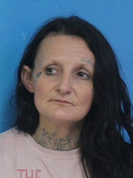 Mugshot of APRIL ANN DISHNER