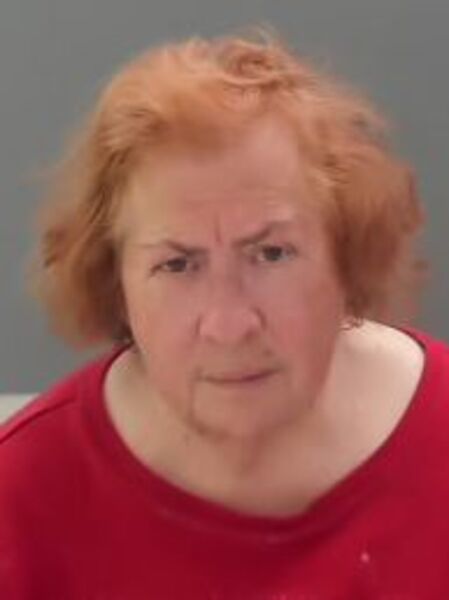 Mugshot of PATSY ANN HARTSOCK