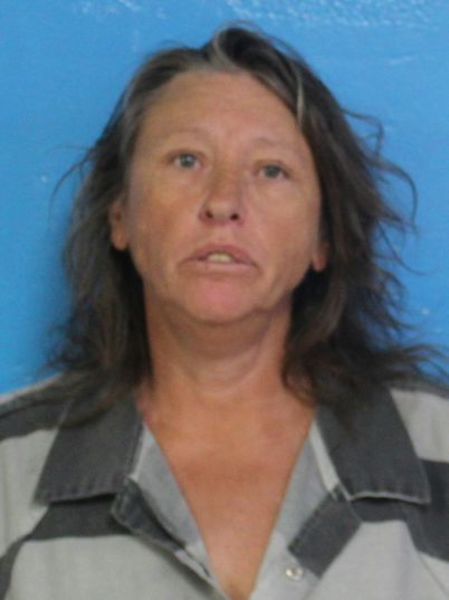 Mugshot of JENNIFER ANN FLEENOR