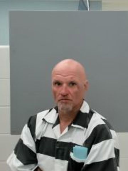 Mugshot of TROY DARNELL HOLLINS