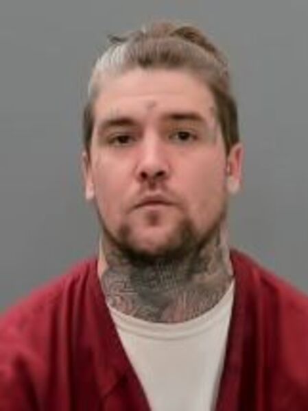 Mugshot of TYLER JAMES HOLLY
