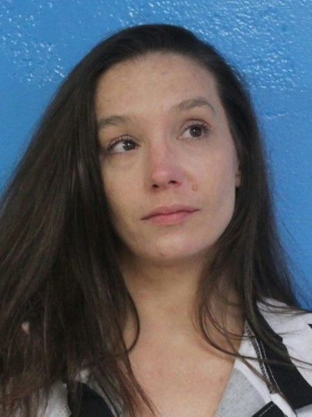 Mugshot of ELIZABETH DANIELLE SAVINSKY