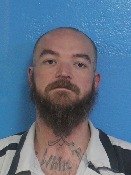 Mugshot of DAVID WILLIAM BROWN