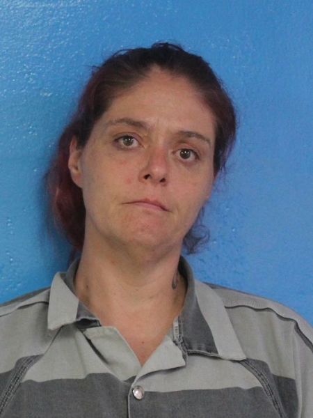 Mugshot of MICHELLE LEE SMITH