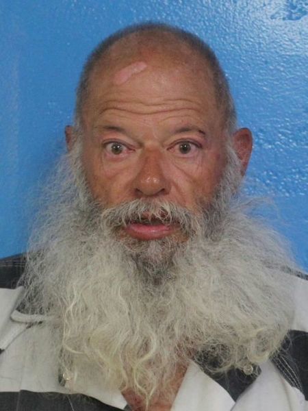 Mugshot of DONALD LEE PARRIS