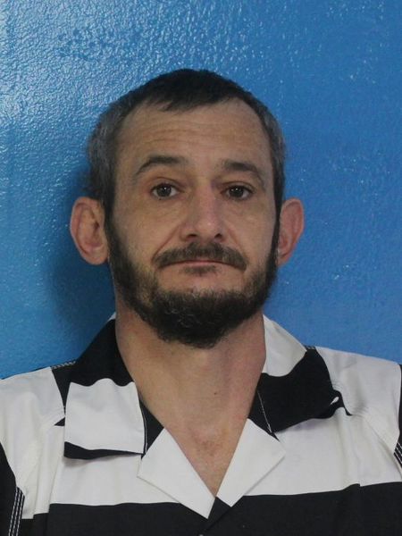 Mugshot of JOE BRANDON NECESSARY