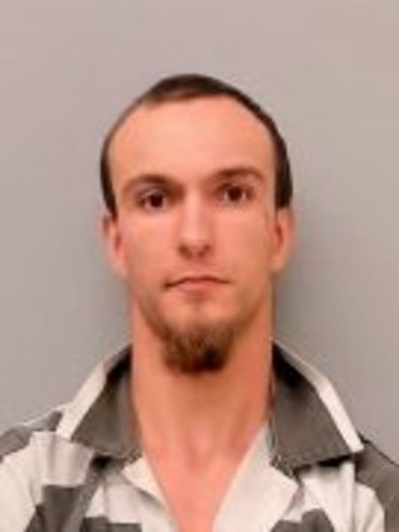 Mugshot of DYLAN RIVER CARRIER