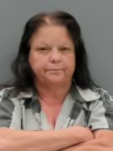 Mugshot of VIRGINIA DIANE COLLINS
