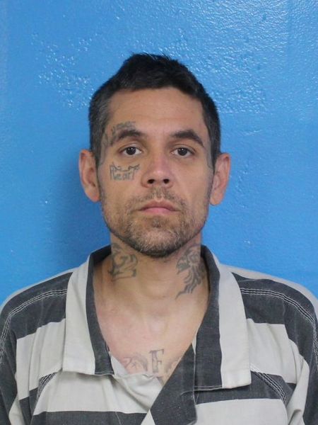 Mugshot of RICHARD BRANDON HARLESS