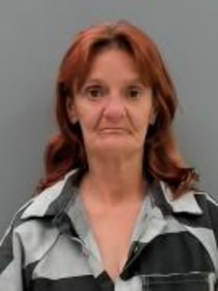 Mugshot of CHERYL LYNN HAYES