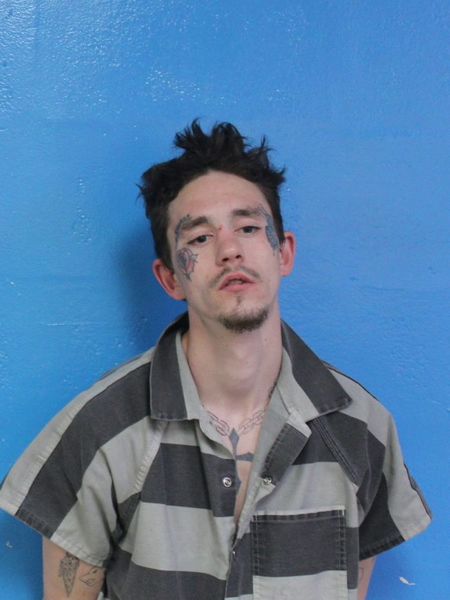 Mugshot of DAKOTA AUSTIN HALE