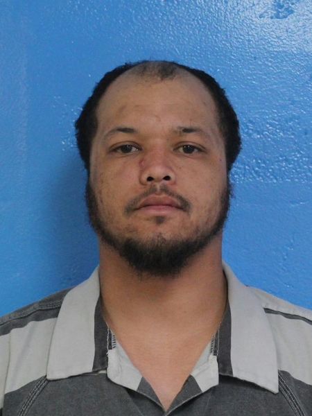 Mugshot of EDWARD LAMAR NEWCOMB