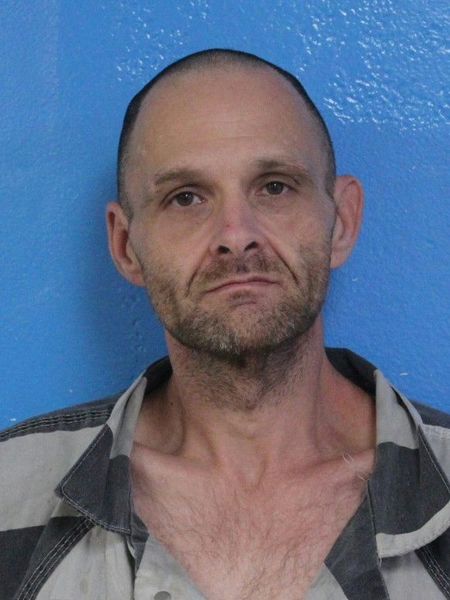 Mugshot of GREGORY WILLIE HOILMAN