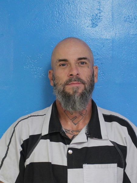 Mugshot of MICHAEL WILLIAM HAMILTON