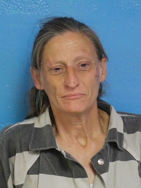 Mugshot of CYNTHIA DIANE JOHNSON