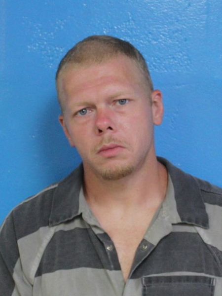 Mugshot of TREVOR COY NELMS