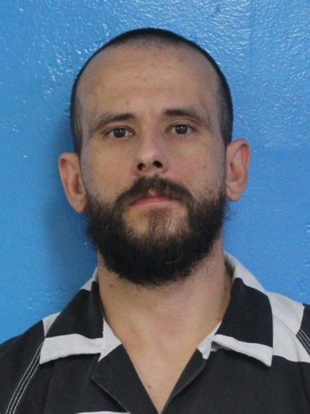 Mugshot of DAVID ANDREW HUBBARD