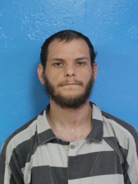 Mugshot of JOSHUA STEVEN BROWN