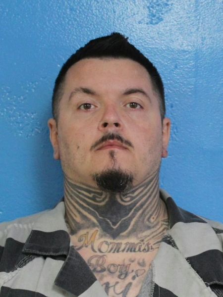 Mugshot of HARVEY LLOYD NAPIER
