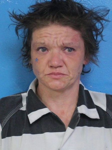 Mugshot of LINDA MARIE DOCKERY