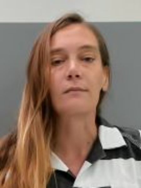 Mugshot of ANDREA RENEE ARNTZ