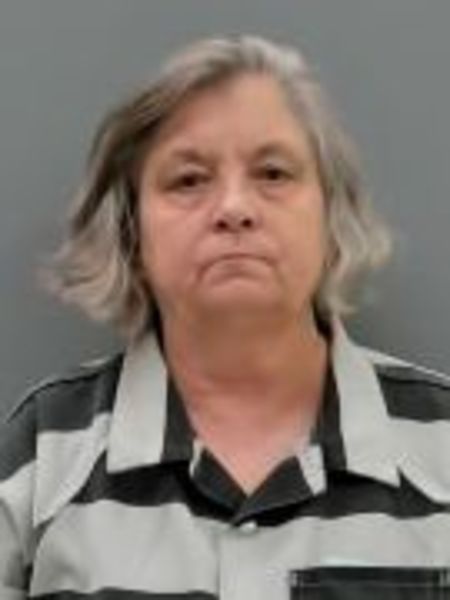 Mugshot of ANITA FAYE MCCLAIN