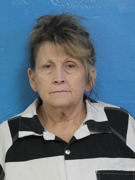 Mugshot of MONA MICHELLE CANIPE LIGHT