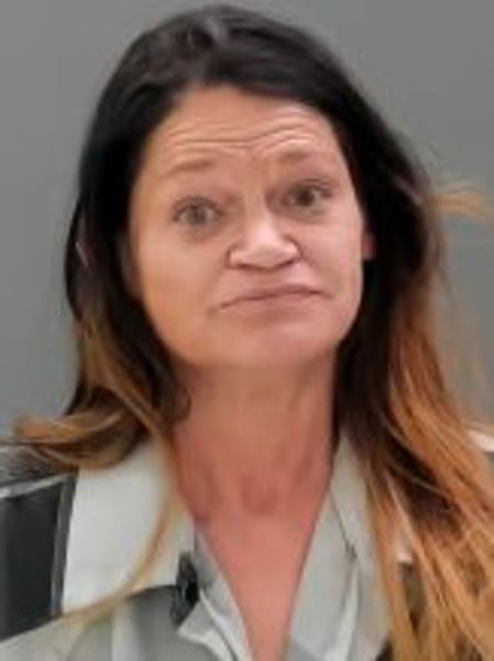 Mugshot of DANIELLE RENEE LEWIS
