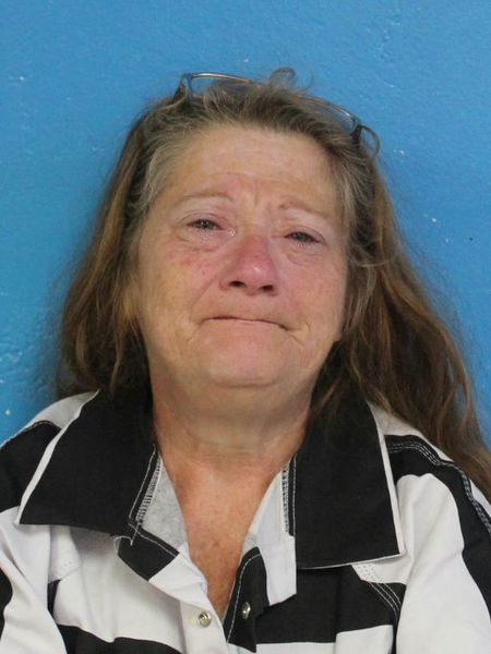 Mugshot of JUDY ANN BAILEY