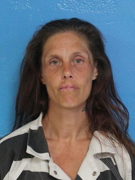 Mugshot of TAMMY JEAN BUTLER