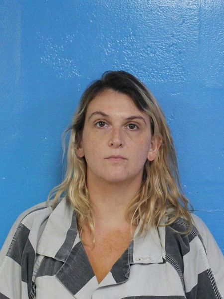 Mugshot of MARY ELLEN CAMPBELL